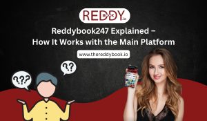Read more about the article Reddybook247 Explained – How It Works with the Main Platform