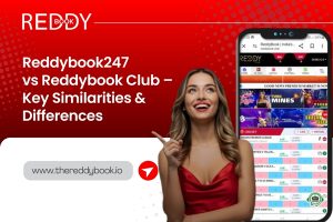 Read more about the article Reddybook247 vs Reddybook Club – Key Similarities & Differences